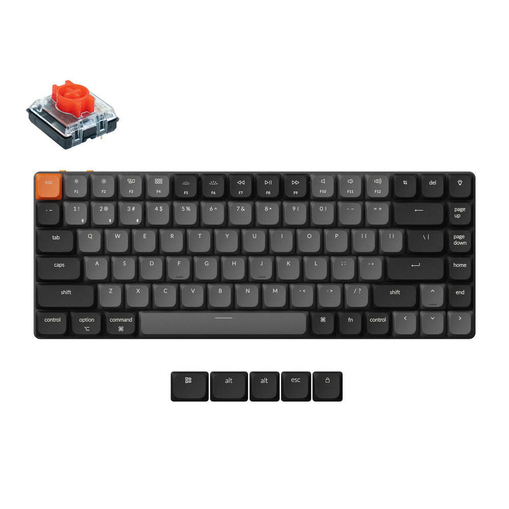 Wireless mechanical hot keyboard